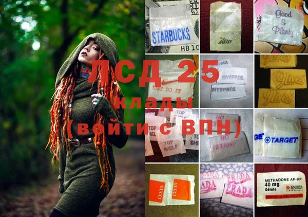 крисы Баксан