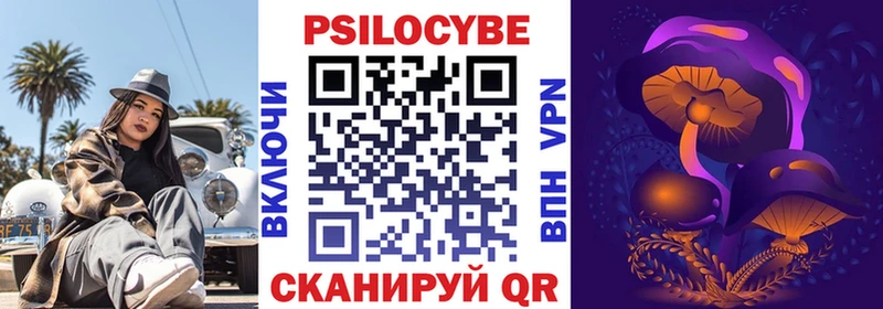 где продают наркотики  гидра зеркало  Псилоцибиновые грибы Psilocybine cubensis  Новоульяновск 
